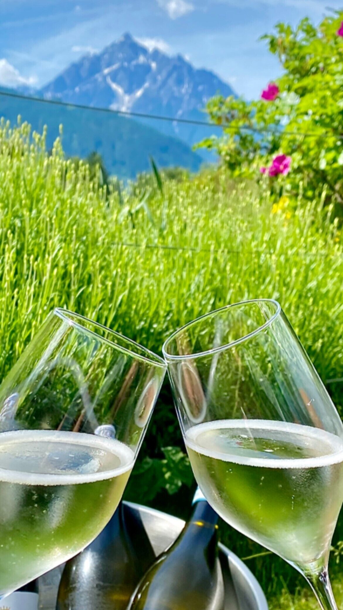 Two wine glasses filled with white wine on a metal tray, set against a backdrop of green grass and a mountain range.