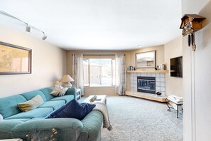 TV, fireplace, books