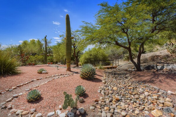 Parco della struttura