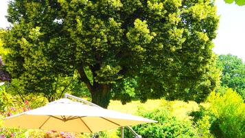 A garden with a large tree, a table with chairs, and a patio umbrella.