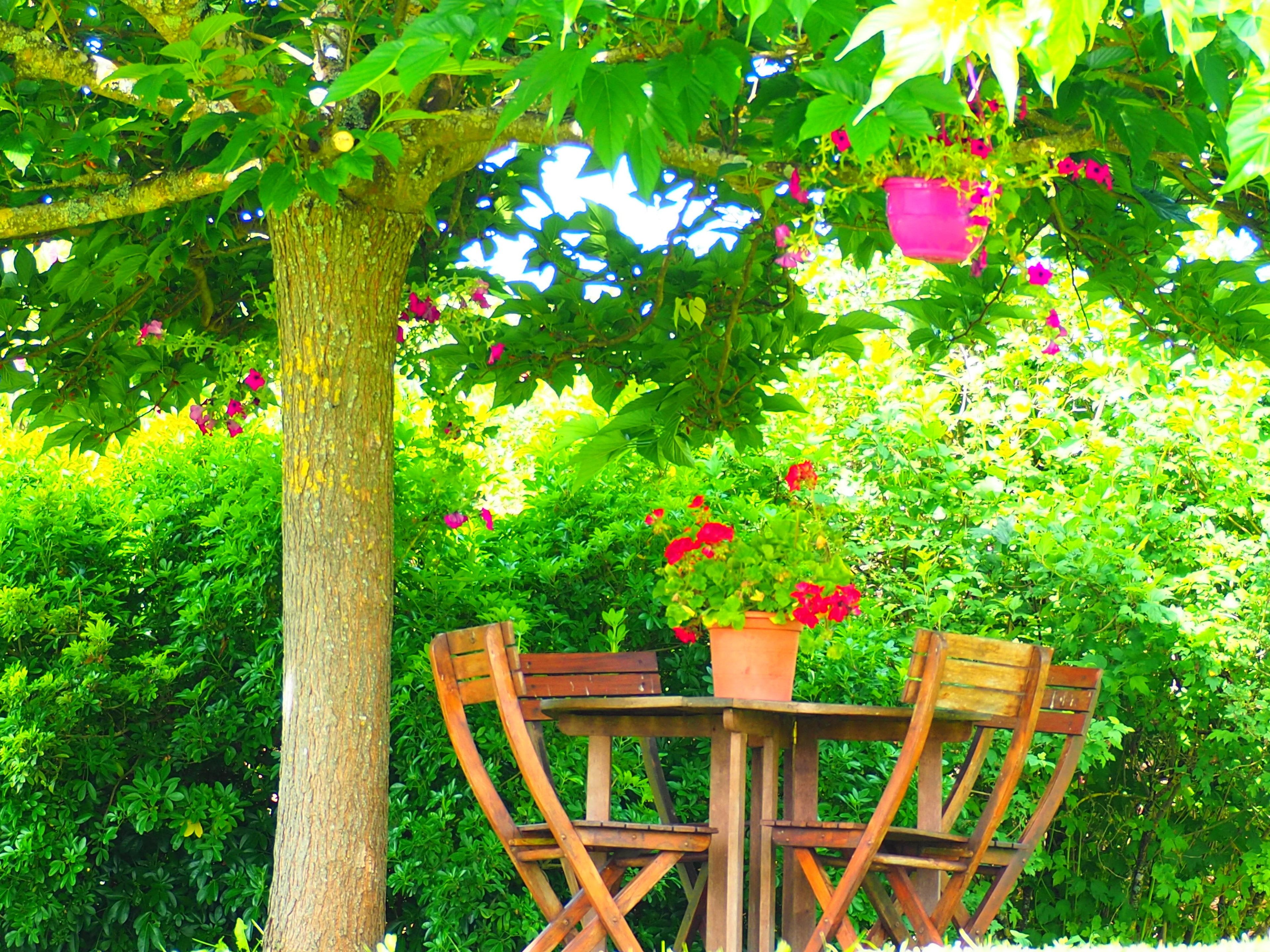 Une table et des chaises en bois, placées sous un arbre, avec des pots de fleurs suspendus.