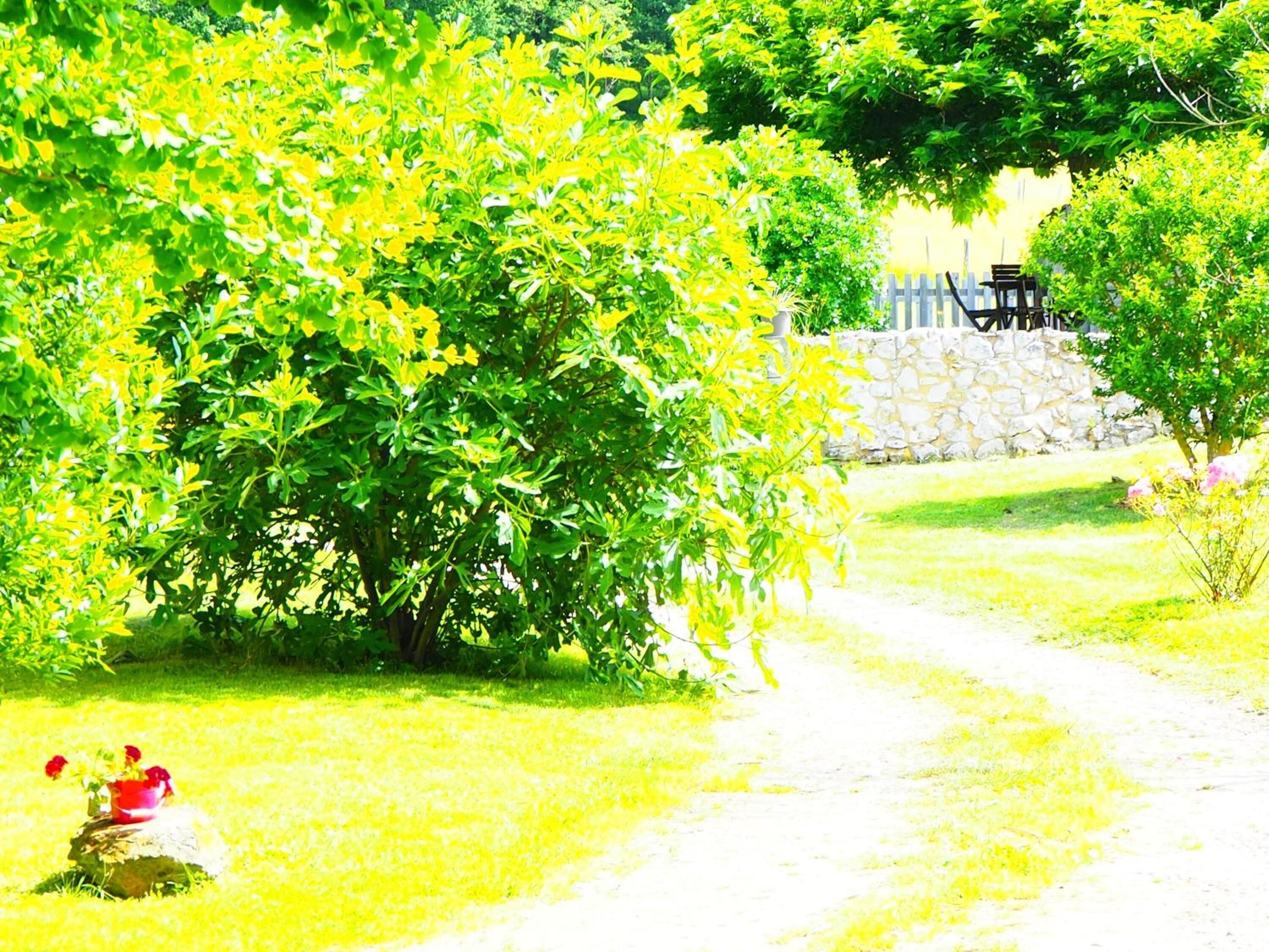 A pathway leading through a garden with a stone wall and a wooden fence in the background.