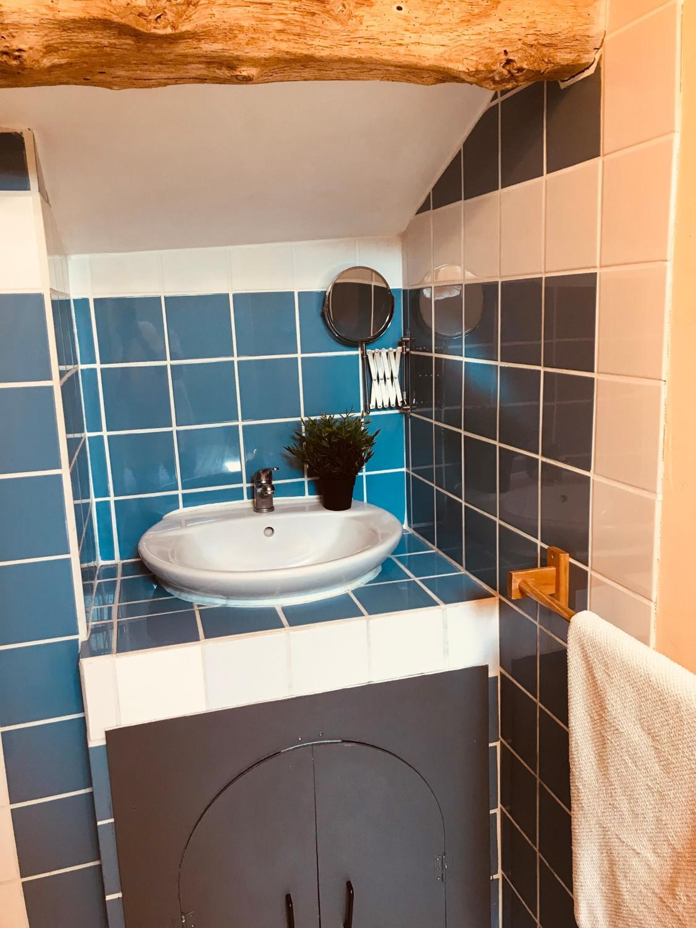 Un baño con un lavabo blanco, azulejos azules, un espejo redondo, una planta en maceta y un perchero para toallas.