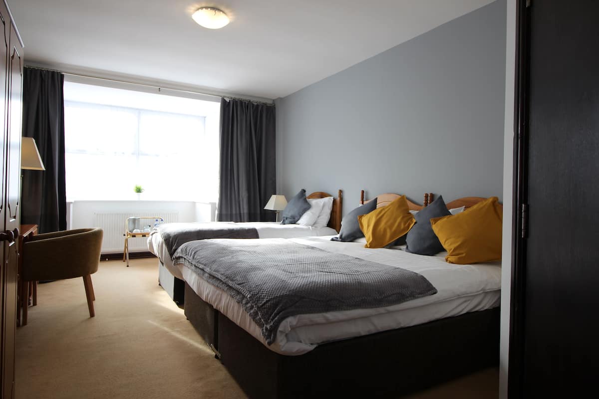 family triple room, multiple beds, non smoking | 1 bedroom, desk, iron/ironing board, free wifi