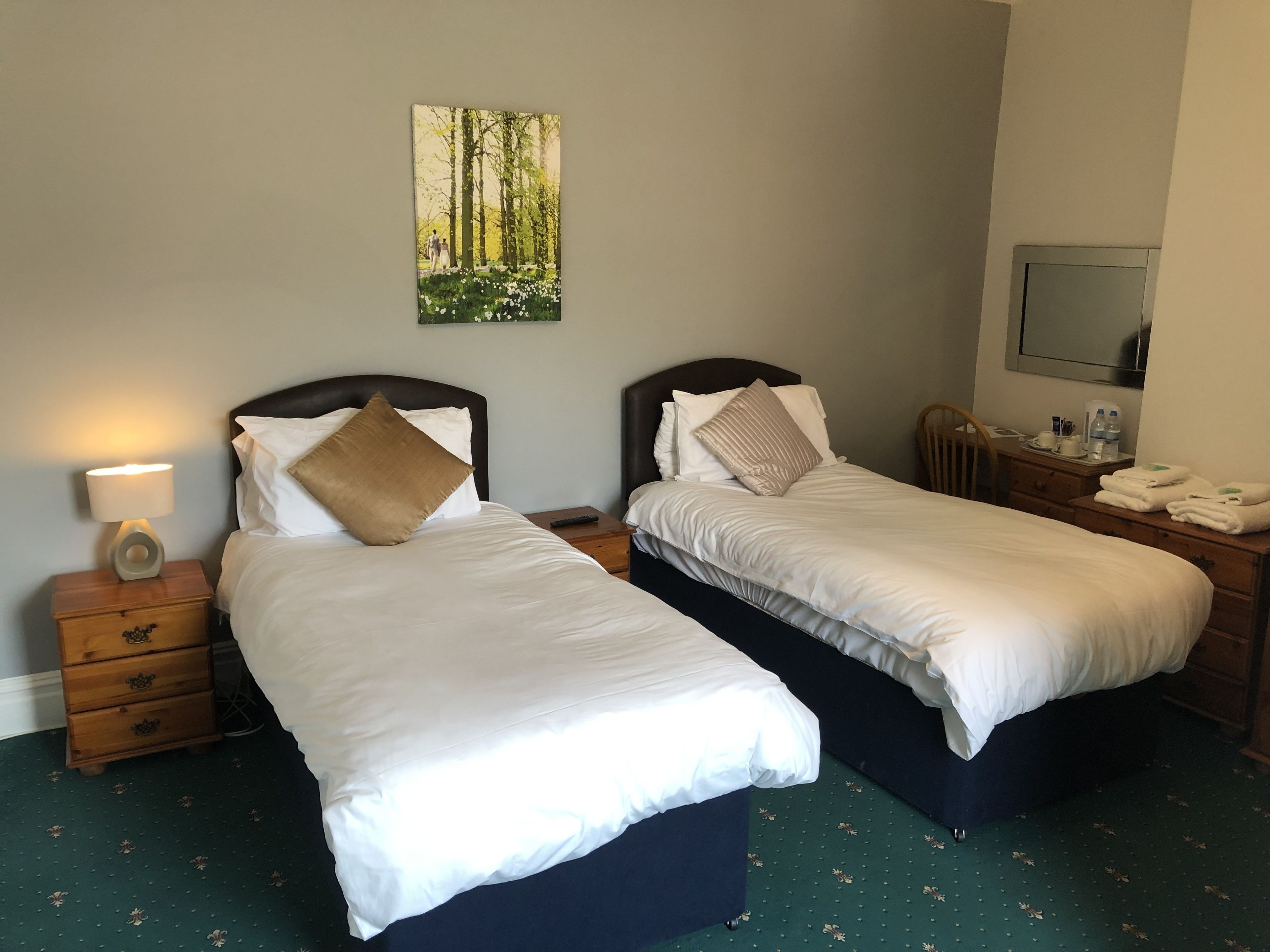 standard twin room, 2 single beds, non smoking | 1 bedroom, desk, iron/ironing board, free wifi