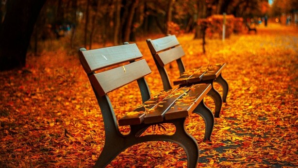 Un banco en un parque con hojas de otoño en el suelo.