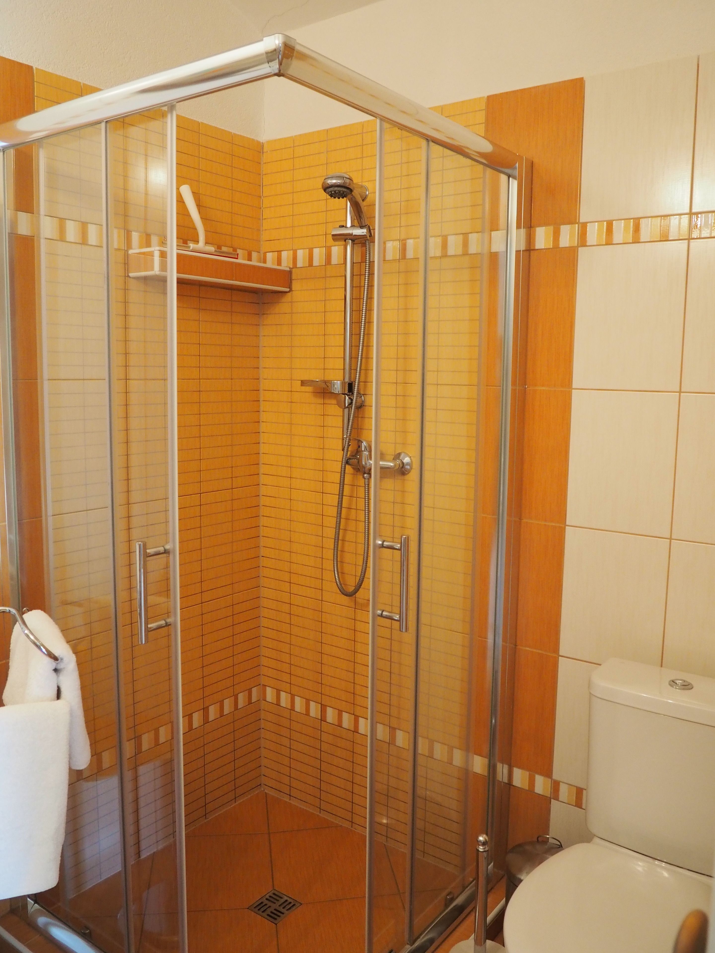 A glass-enclosed shower stall with a handheld showerhead and a wall-mounted faucet.