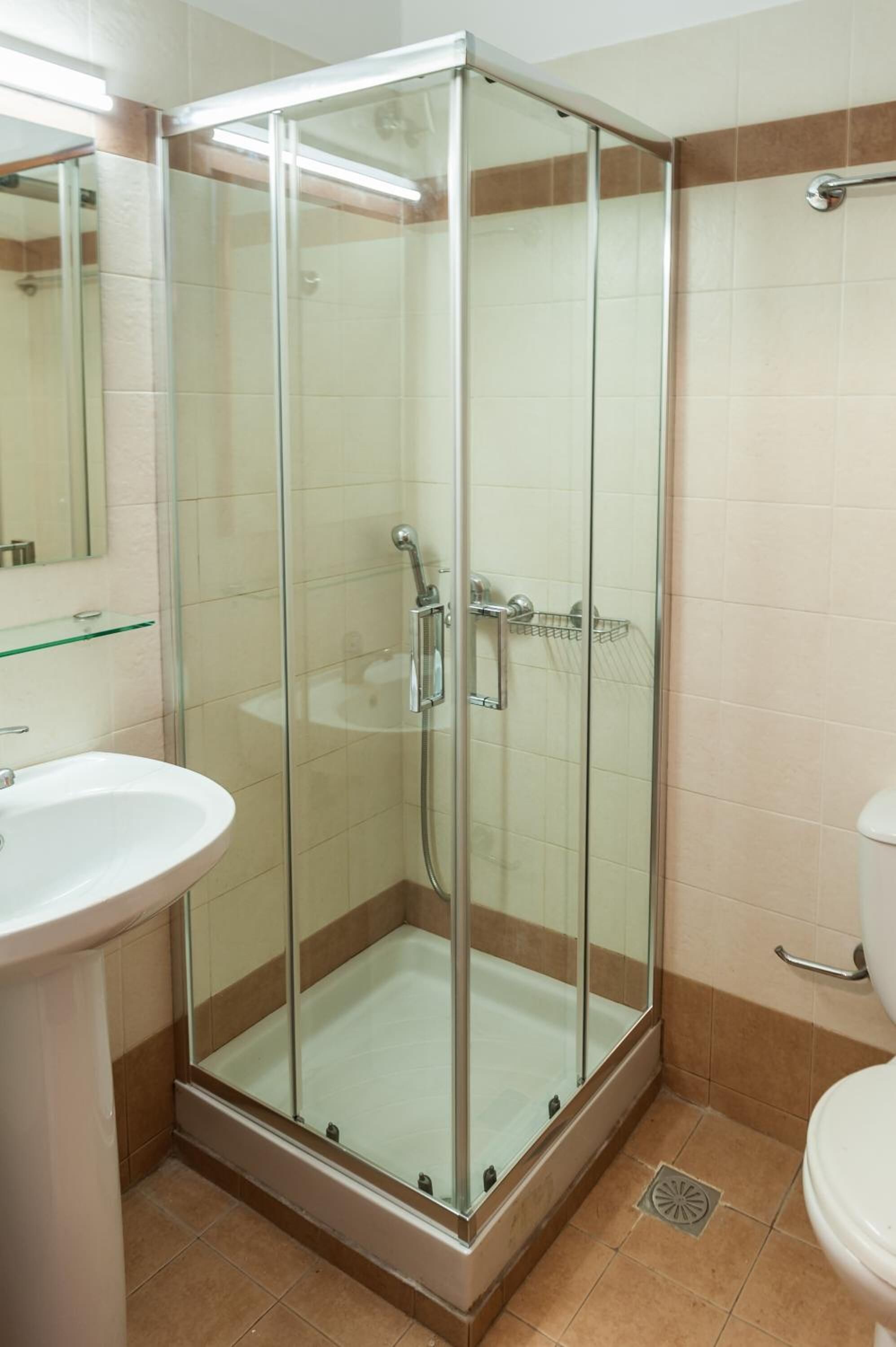 A glass-enclosed shower stall with a handheld showerhead, a glass shelf above the sink, and a toilet to the right.