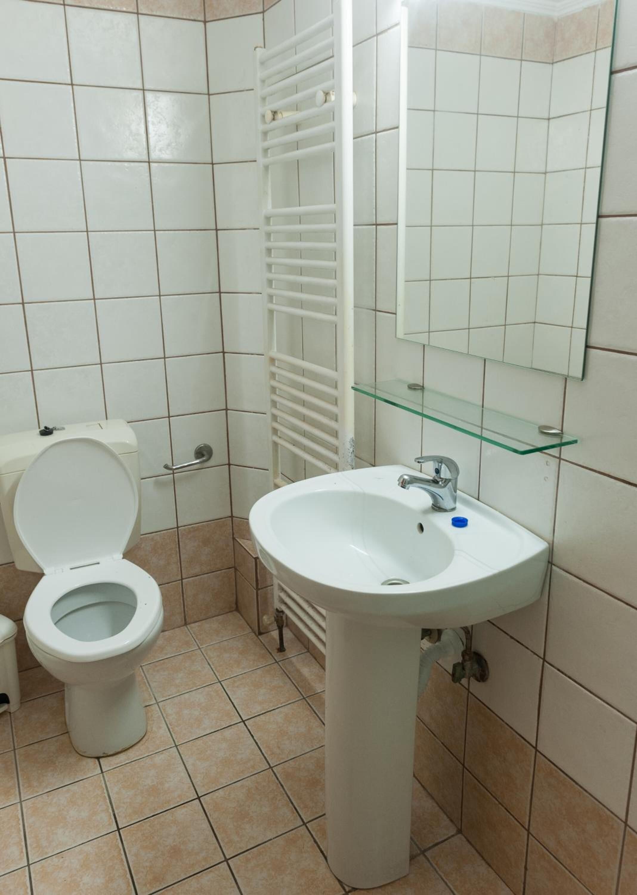 A bathroom with a toilet, a pedestal sink, a glass shelf, and a mirror.