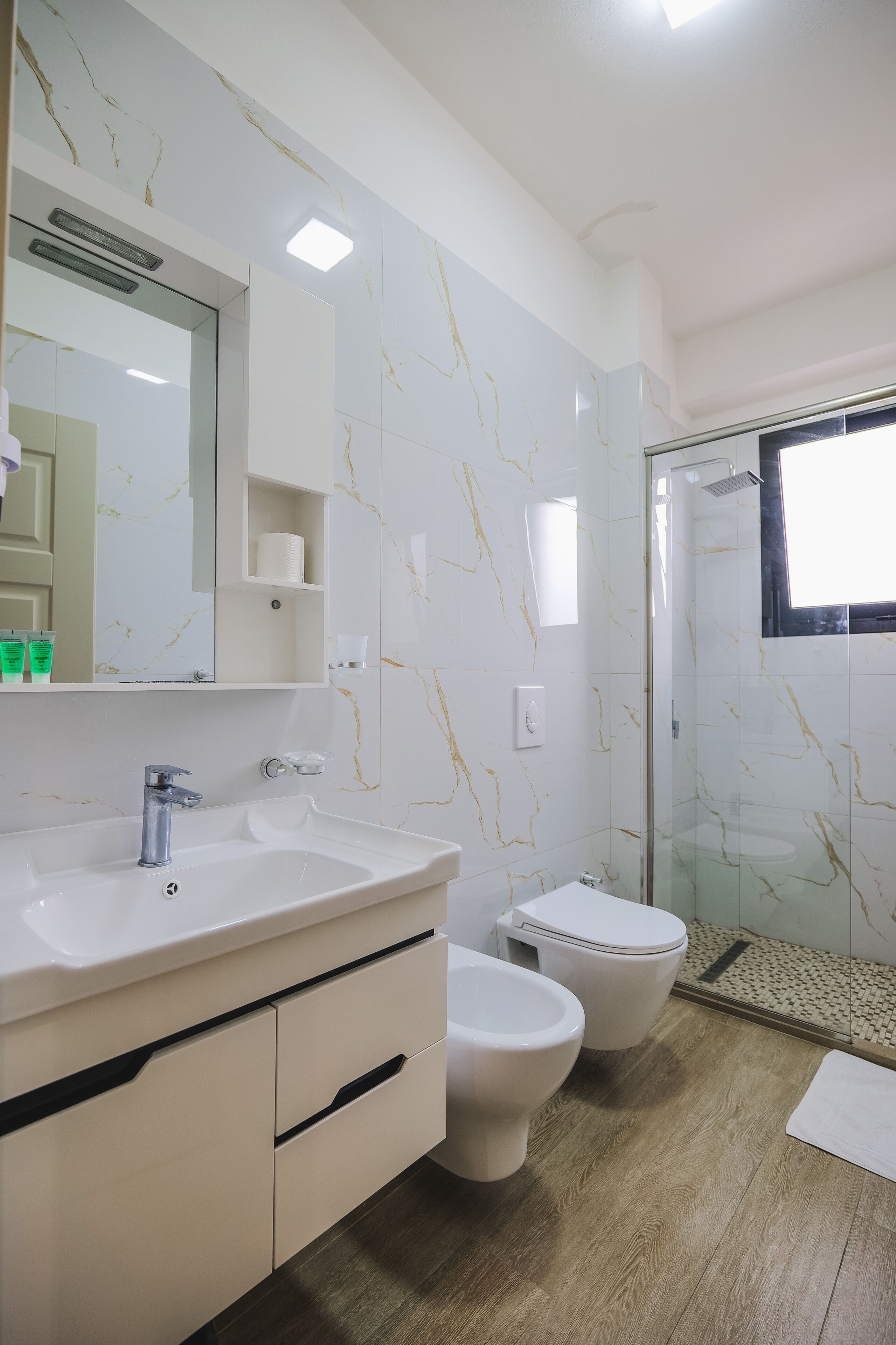 Shower, hair dryer