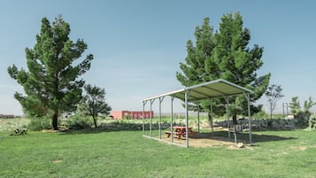 BBQ/picnic area