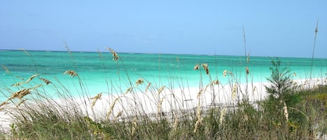 On the beach, beach towels