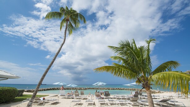 A beach with palm trees, lounge chairs, and umbrellas under a clear sky.