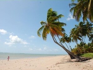 En la playa