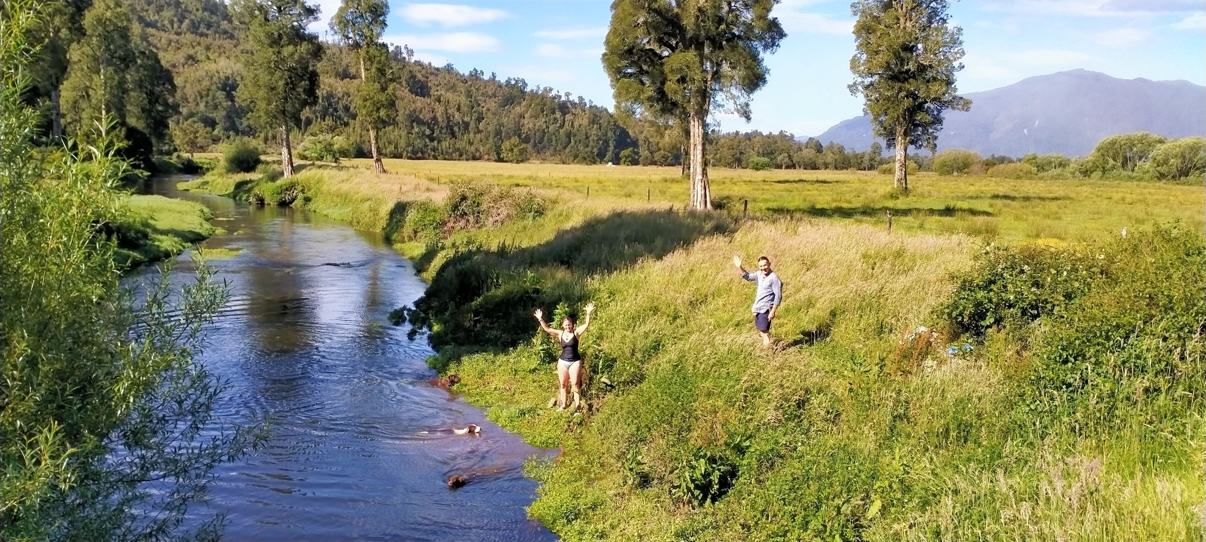 A river flowing through a grassy field with trees and mountains in the background.