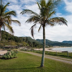 Jardim