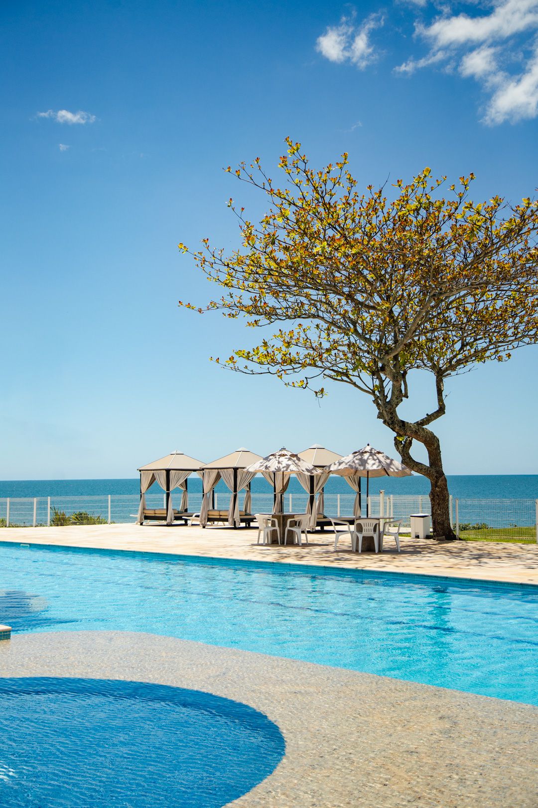 A poolside area with a tree, lounge chairs, and umbrellas.