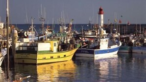 Un puerto deportivo con varios barcos amarrados, y un faro destacado al fondo.