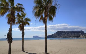 A beach with palm trees and a mountain in the background.