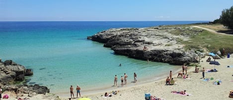 Una playa cerca