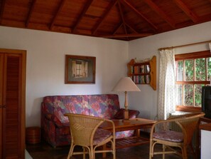 TV, books, music library