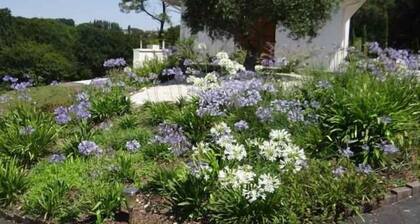 BiarritzArcangues villa quiet design 170 m 2 greenery heated pool, 8 per