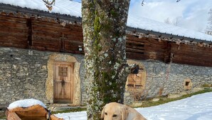 Un chien boit de l’eau dans une mangeoire en bois, à l’extérieur, avec un bâtiment en pierre en arrière-plan.