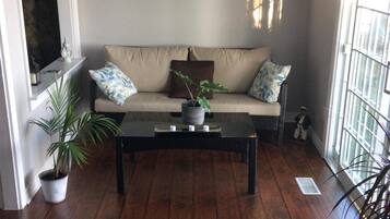 Smart TV, fireplace, DVD player, books