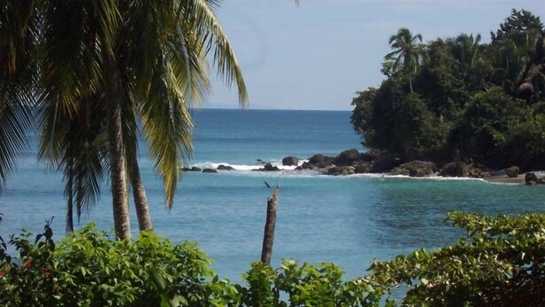 Une plage tropicale bordée de palmiers et d’une côte rocheuse.