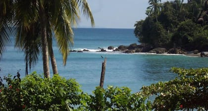 Casa Bambu, Bamboo Rainforest Beach House