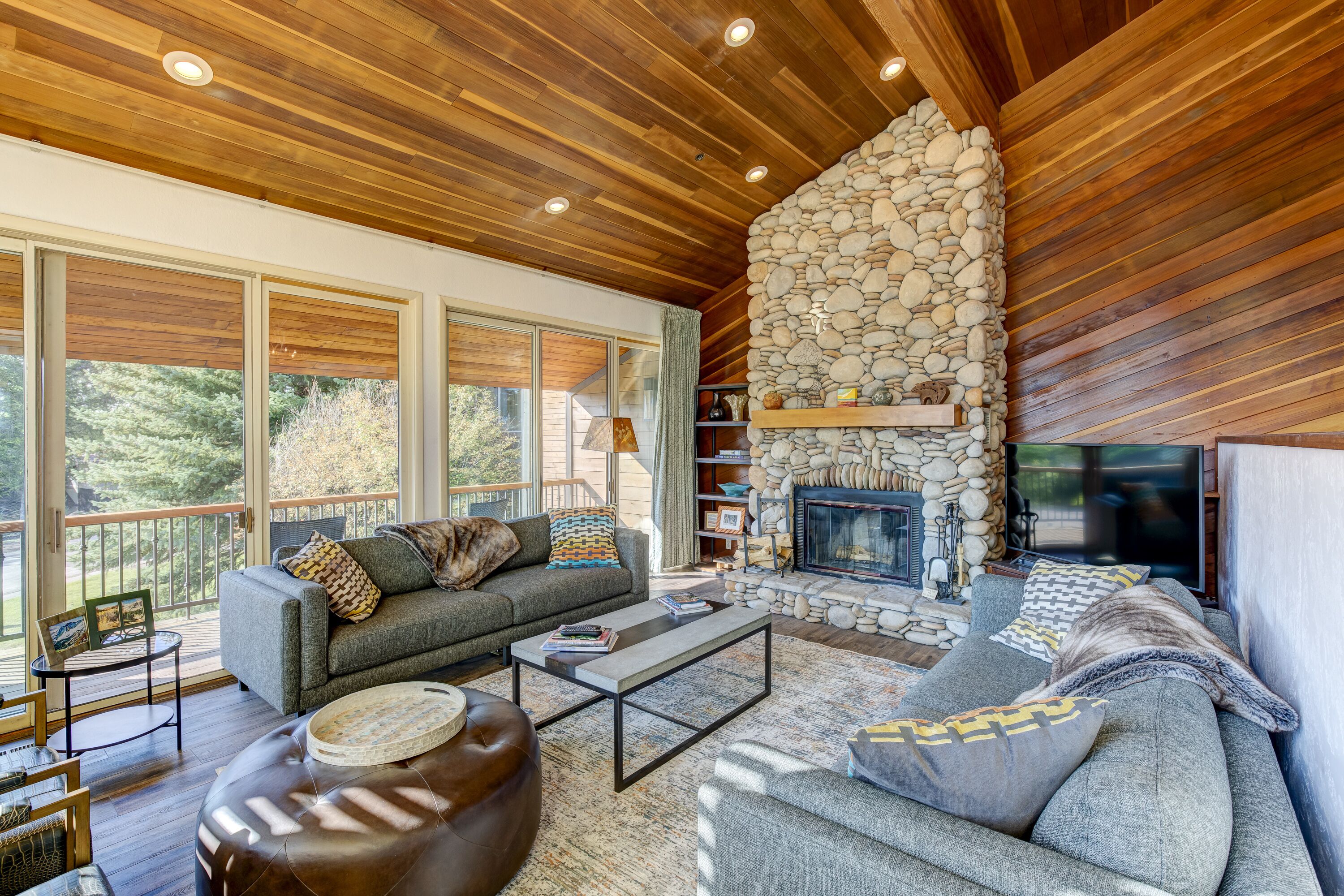 TV, fireplace, video games, DVD player