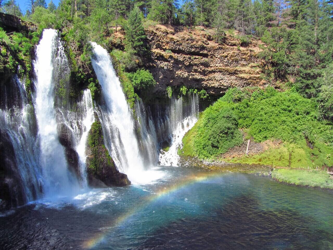 A waterfall with a rainbow in a forested area.