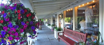 The McCloud Vacation Home on Mt. Shasta Sleeps 10+