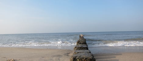 Plage à proximité