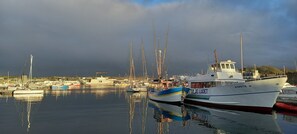 Marina