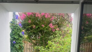 Uitzicht door een glazen deur op een tuin met verschillende planten en een houten omheining op de achtergrond.