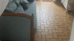 Een kamer met een blauwe bank, een visgraatvloer, een televisie op een kast en een deur naar buiten.