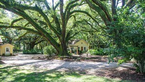 A yellow building with a porch, surrounded by large trees with moss-covered branches. - Farm Stay: Come Stay With Us (Fairhope)