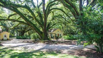 Terrein van de accommodatie