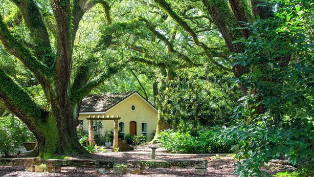 A yellow building with a porch, surrounded by large trees and greenery. - Farm Stay: Come Stay With Us (Fairhope)