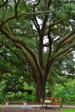 Overnatningsstedets område