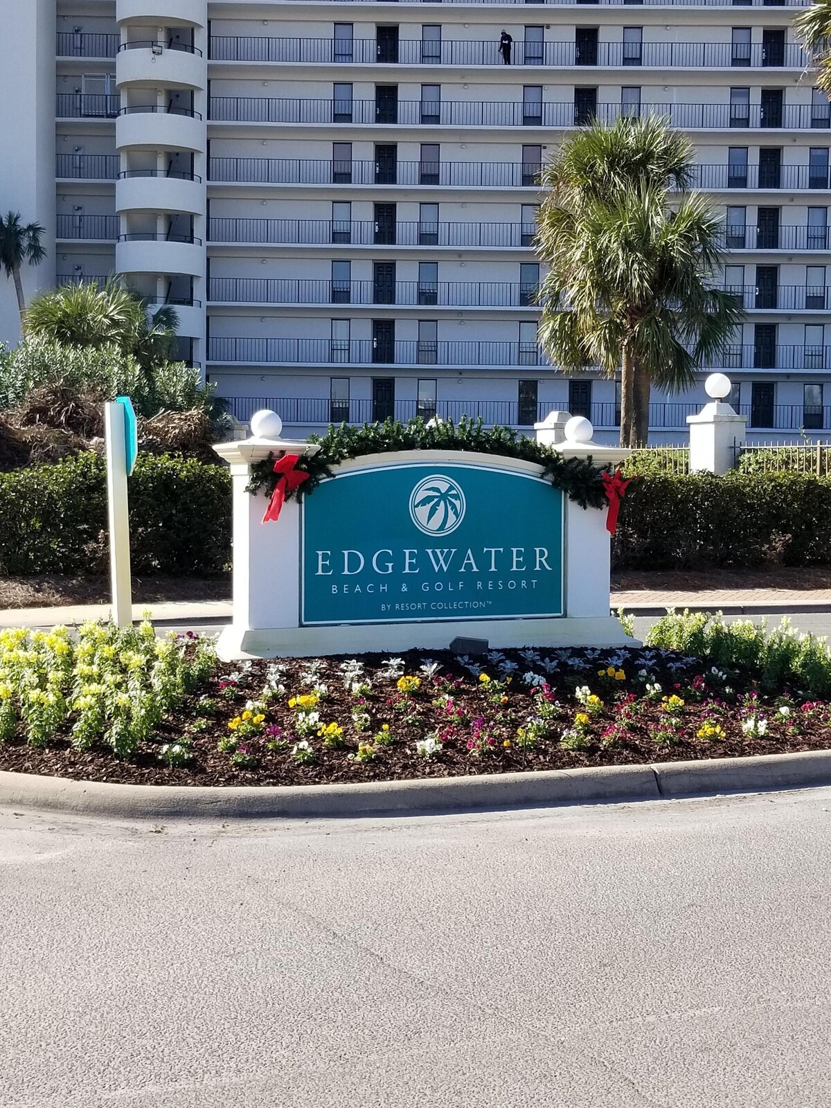 Imagen de perfil del propietario o de la propietaria