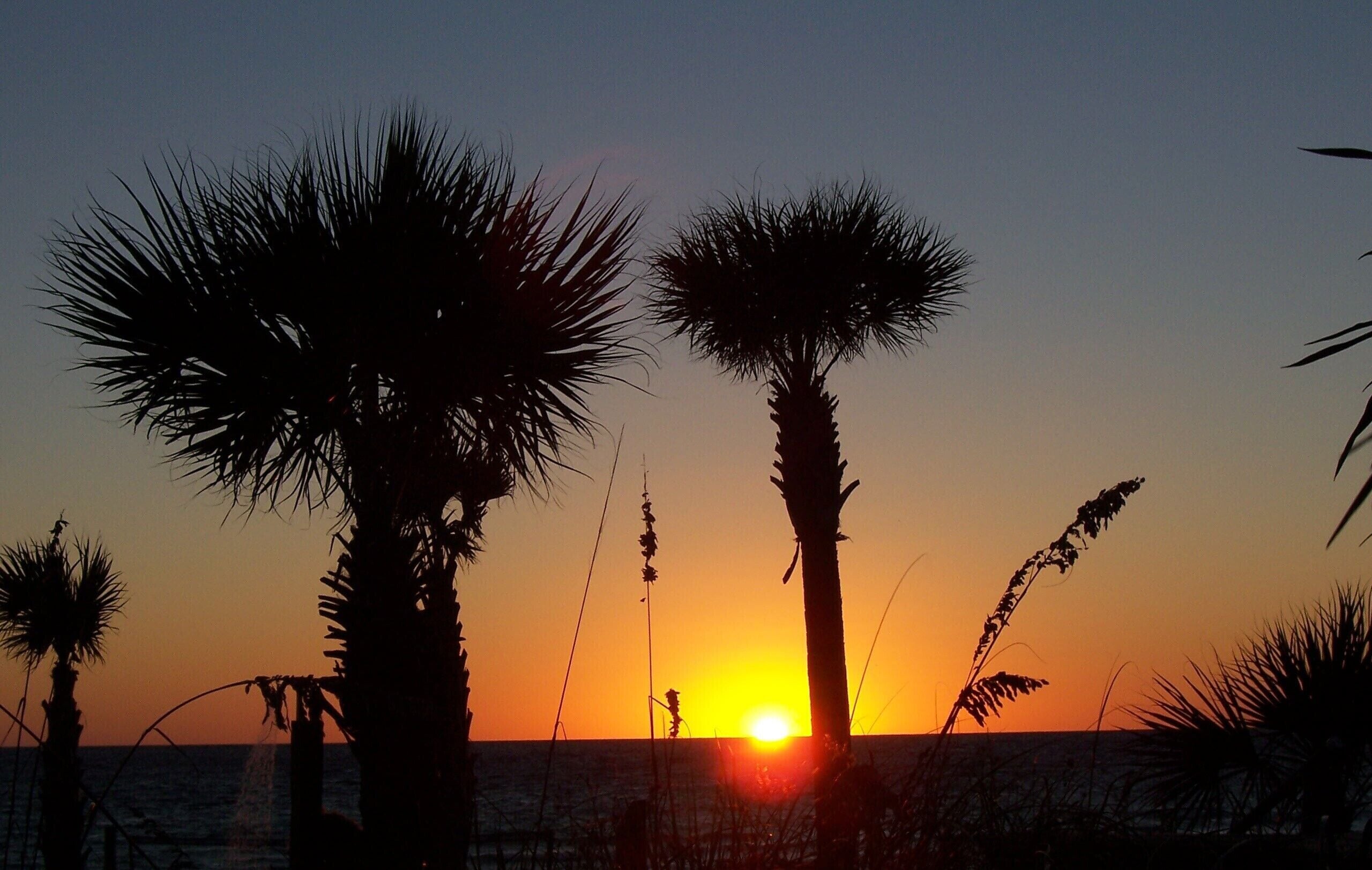 Edgewater Beach & Golf Resort (Conference Center), Front Beach Road, Panama City Beach, FL — photo 6
