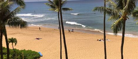 Playa