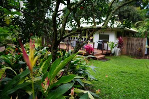 Property grounds - Gilligan's-secluded air-conditioned Cottage Near Gorgeous Beach--TVNC-4189 (Anahola)