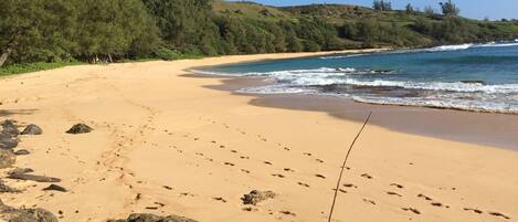 Beach nearby, sun-loungers, beach towels