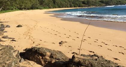 Gilligan's-secluded air-conditioned Cottage Near Gorgeous Beach--TVNC-4189