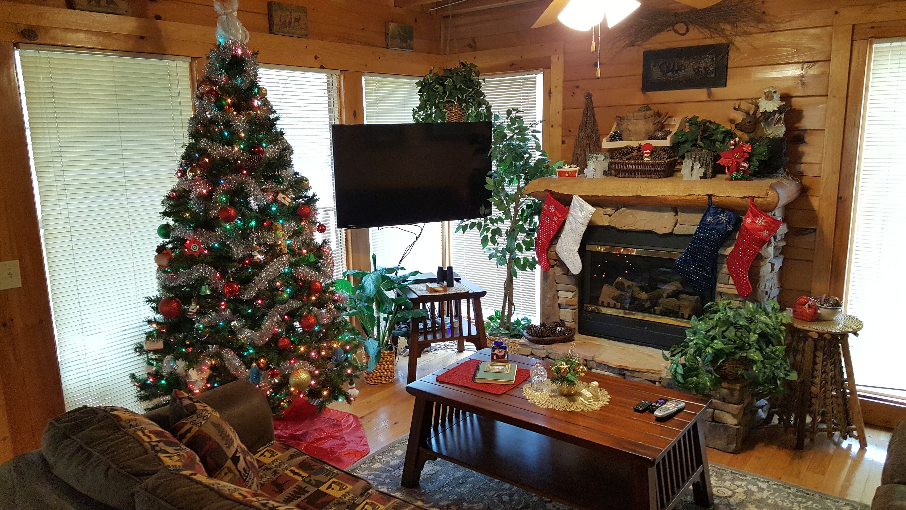 A cozy living room with a large Christmas tree, a fireplace, and a television.