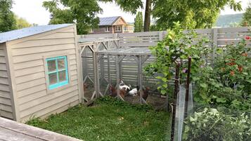 Enceinte de l’hébergement