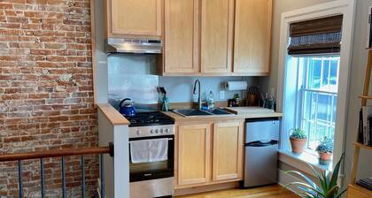 Decorah House- ilmava, moderni, täynnä luonnonvaloa, 5 korttelin päässä keskustasta